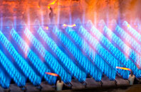 Plwmp gas fired boilers